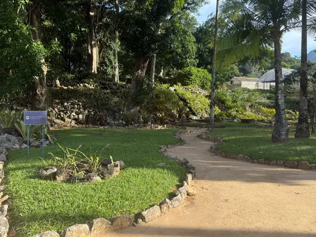 the Botanical Garden in Rio