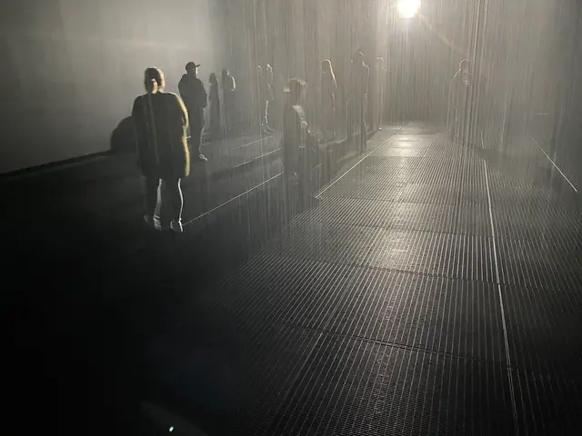 the rain room