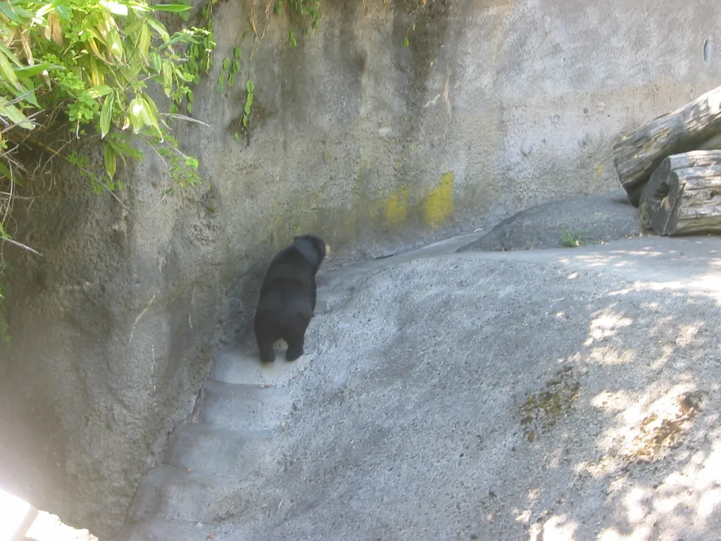 oscon 2003, bear