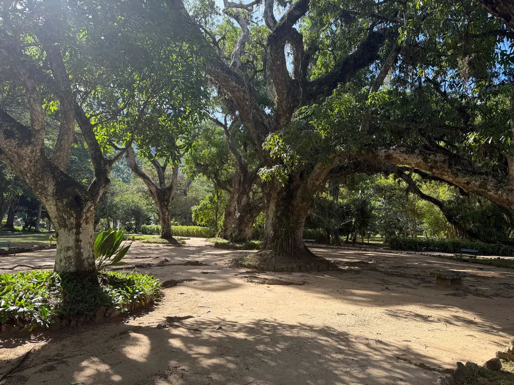 the Botanical Garden in Rio