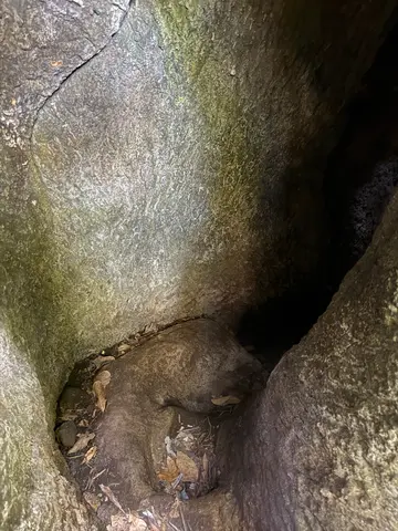 Parque Lage