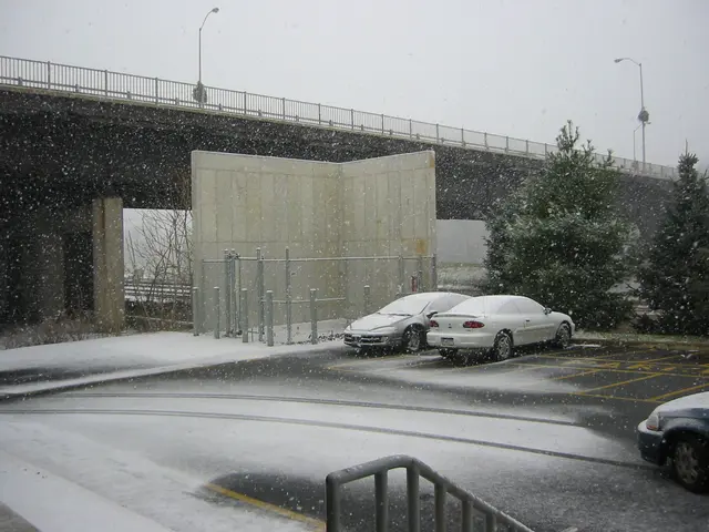 snowstorm, 2003-12, img_0983
