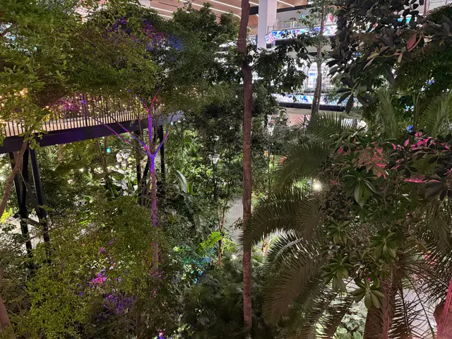 the Orchard at Doha