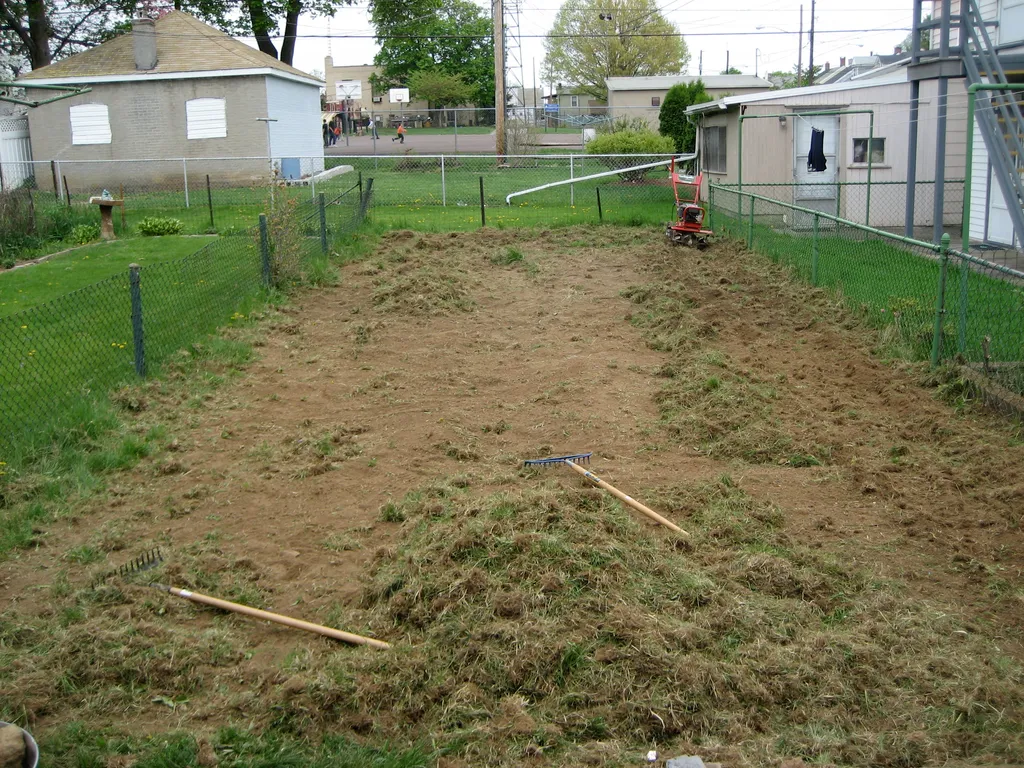 the yard, minus gras