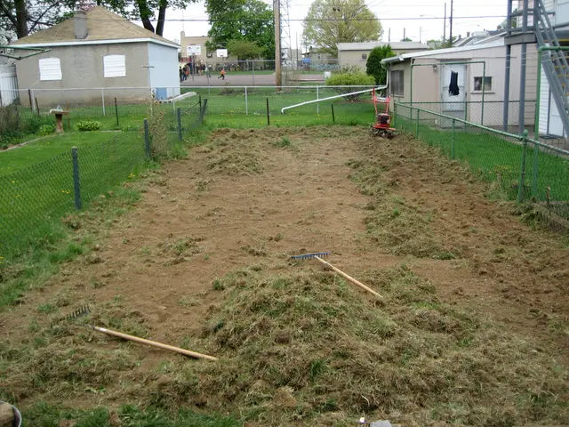 the yard, minus gras