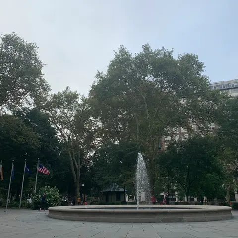 Washington square