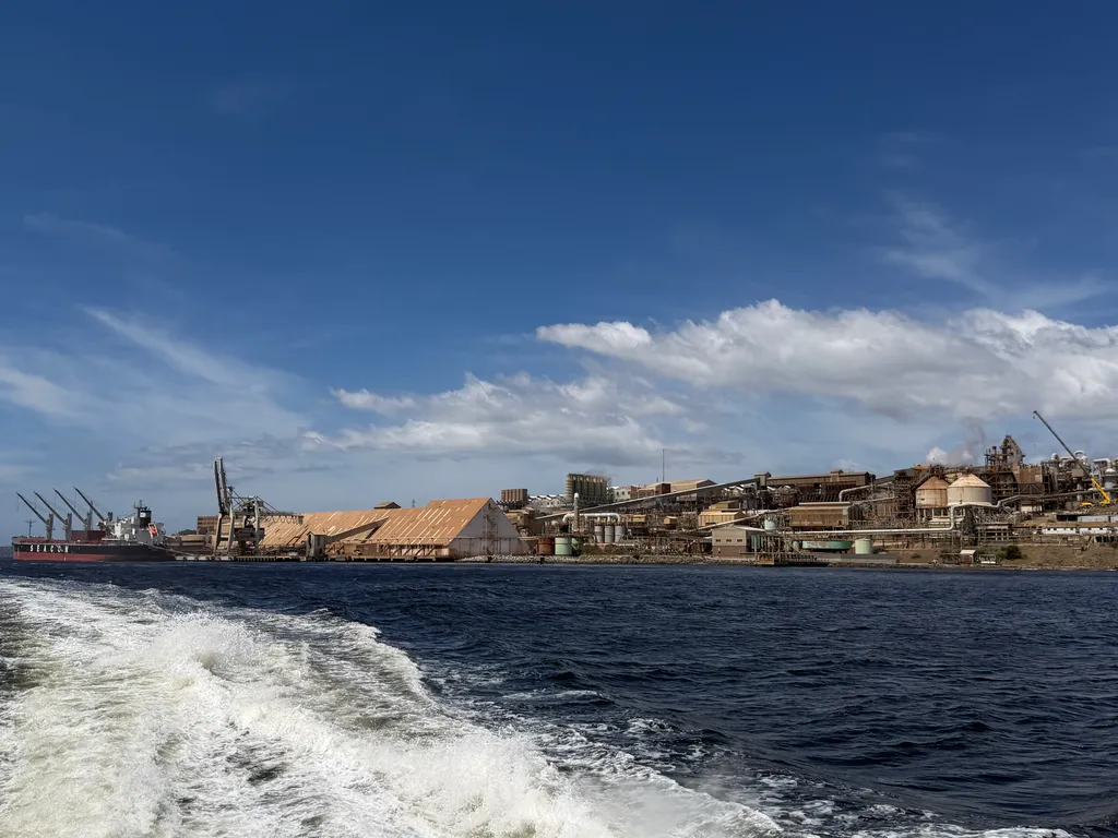 from the MONA ferry