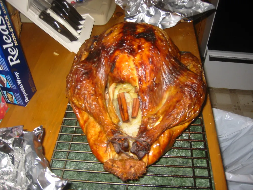 thanksgiving 2004, img_0031