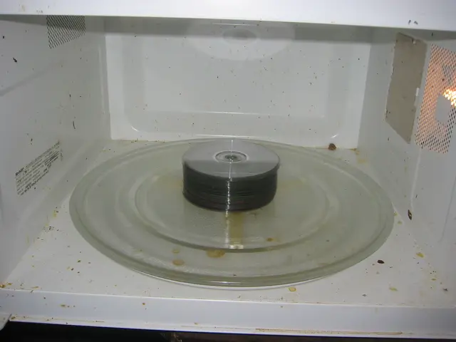 destroying old msdn discs, img_1771