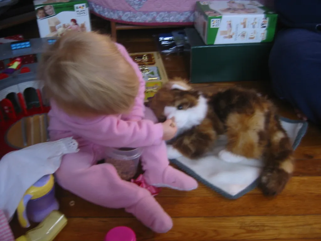anika's new cat