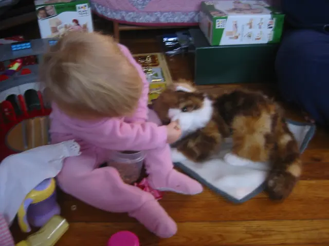 anika's new cat