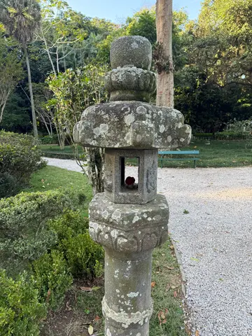 the Botanical Garden in Rio