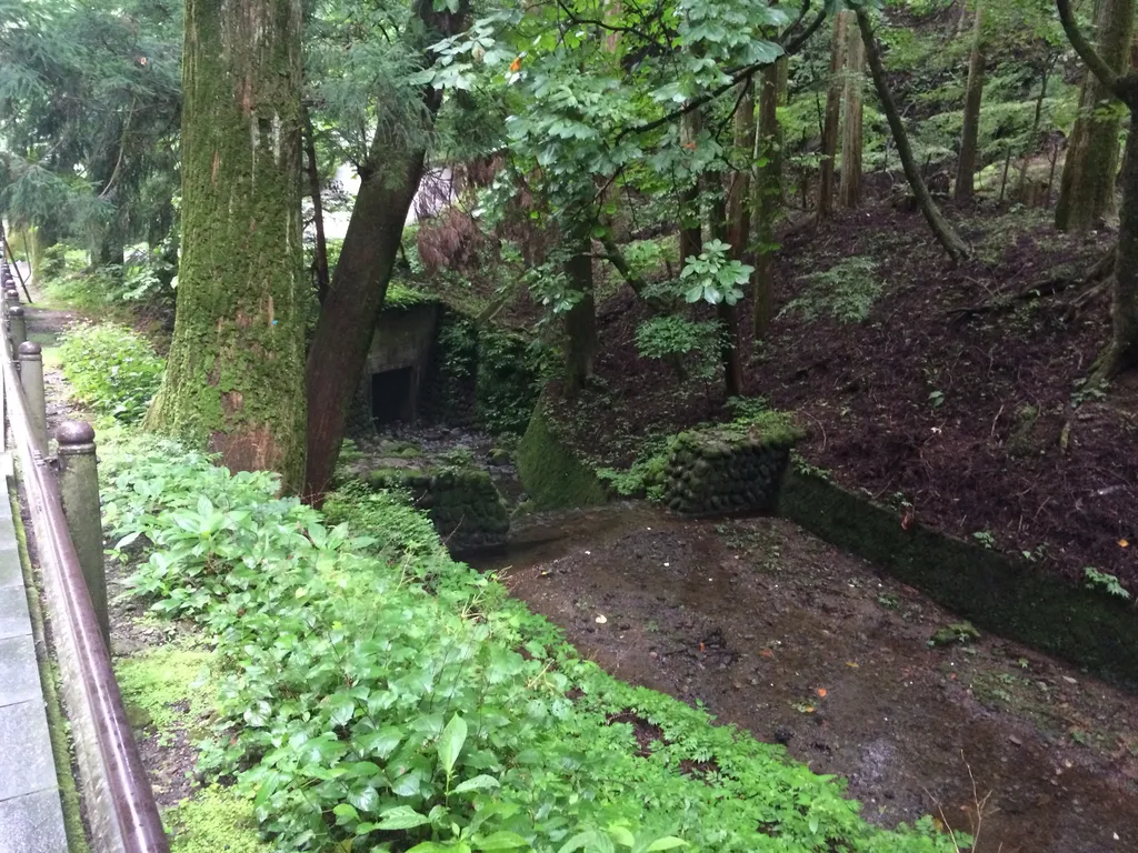 Nikko stream