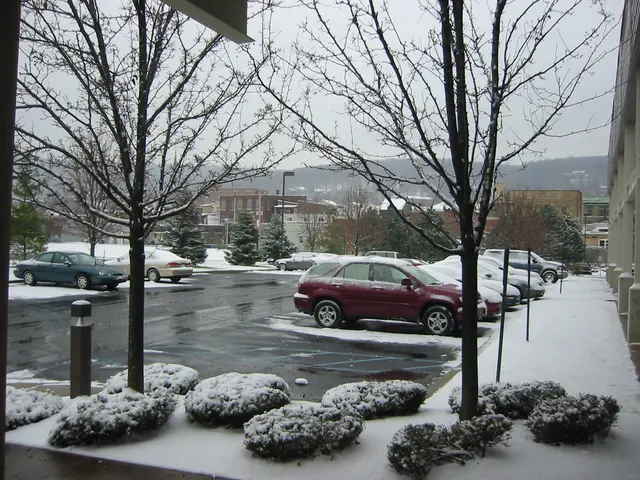 snowstorm, 2003-12, img_0990