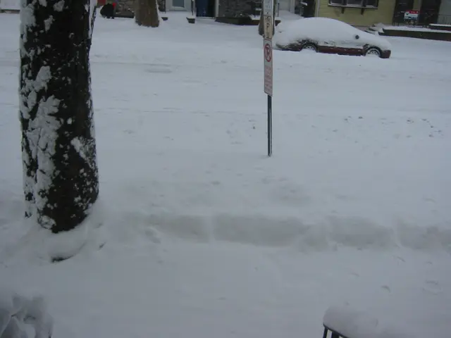 snowstorm, 2003-12, img_0999