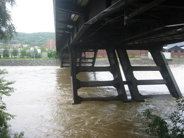 the flood, 2004, img_1836