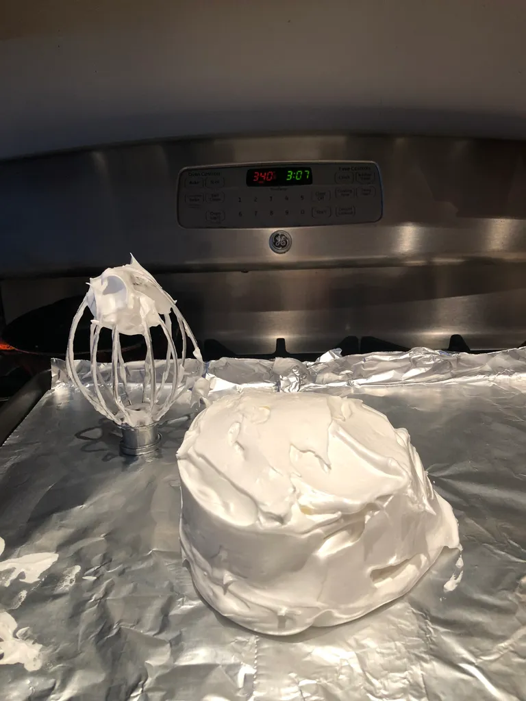 second Pavlova attempt