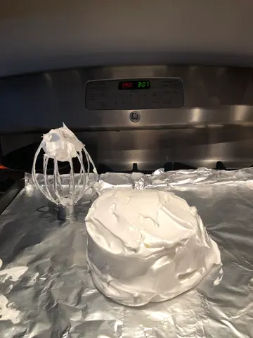 second Pavlova attempt