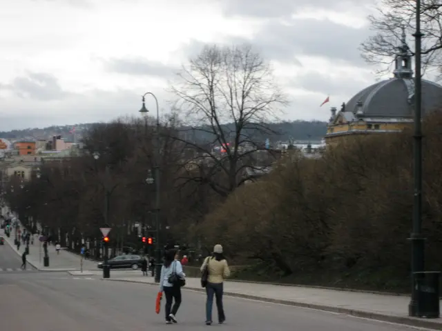 view from the palace hill