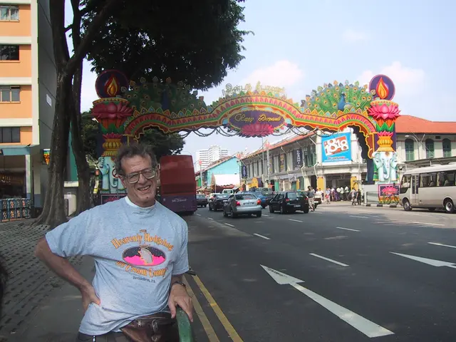 hedgehog shirt, Singapore