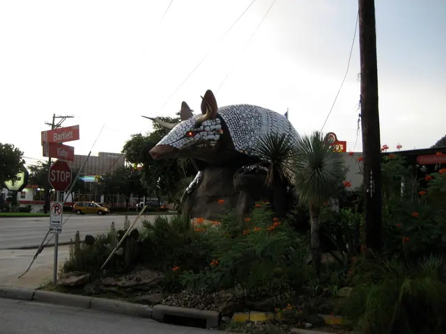 giant armadillo