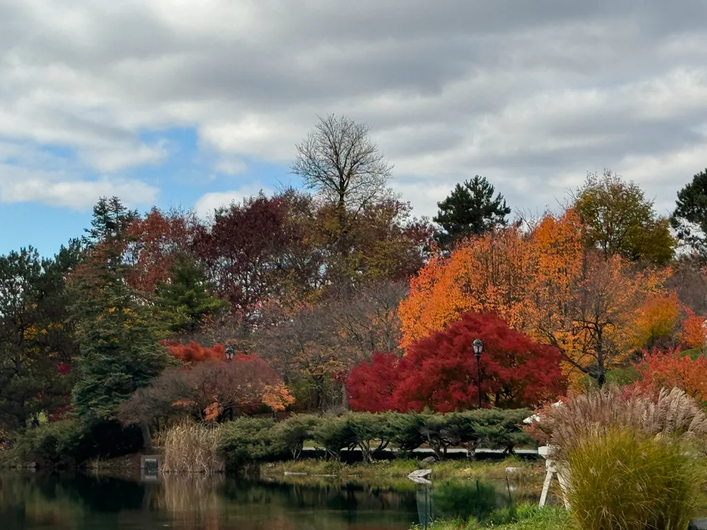 Buffalo's Japanese Garden