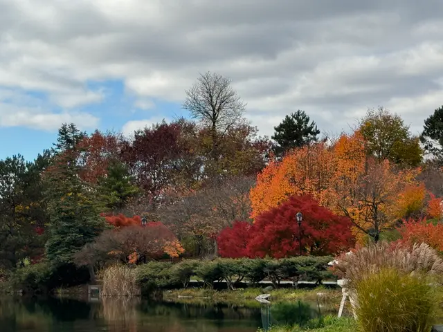 Buffalo's Japanese Garden