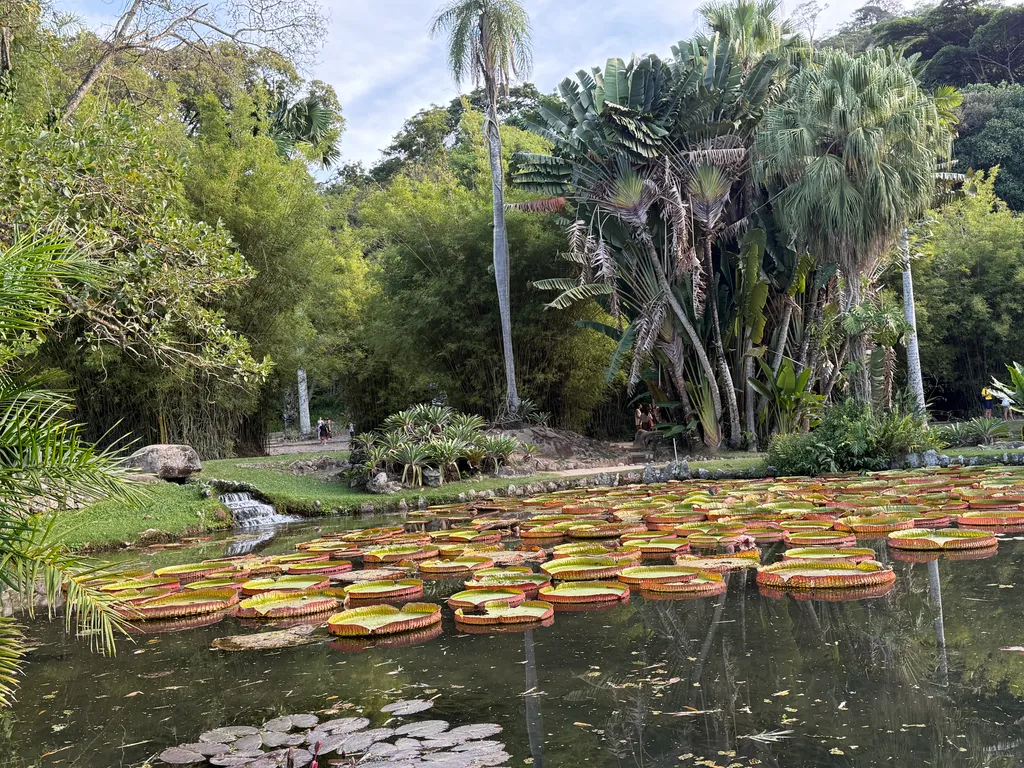 the Botanical Garden in Rio