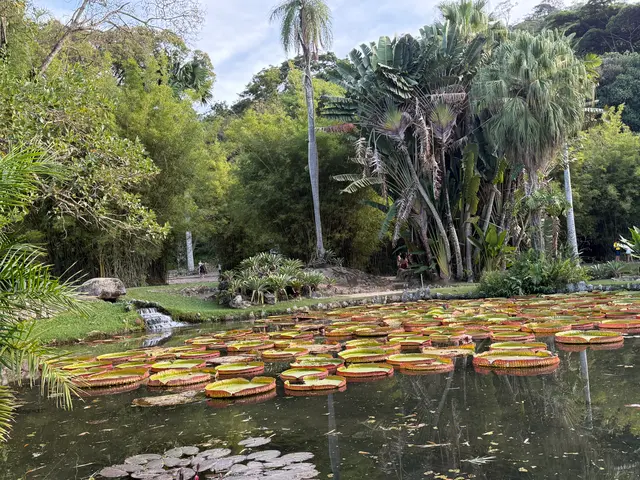 the Botanical Garden in Rio