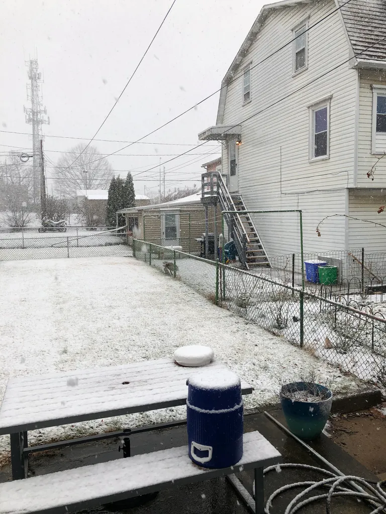 it snowed