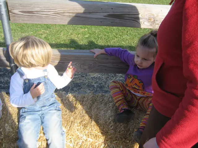 pumpkin pickin'
