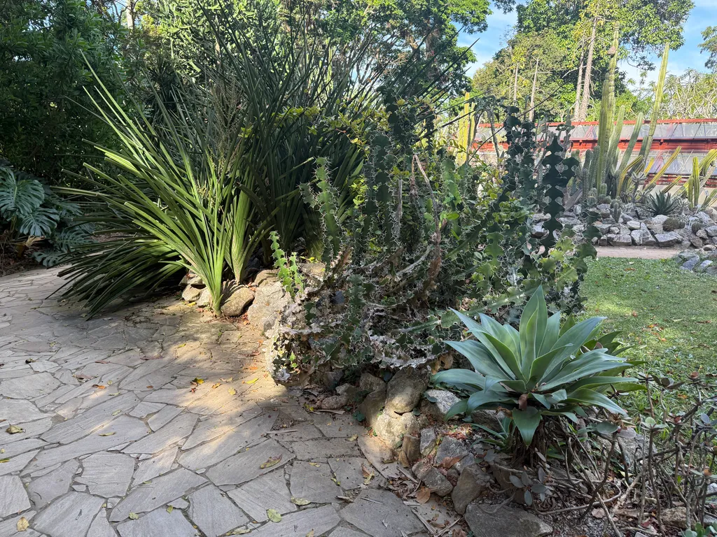 the Botanical Garden in Rio