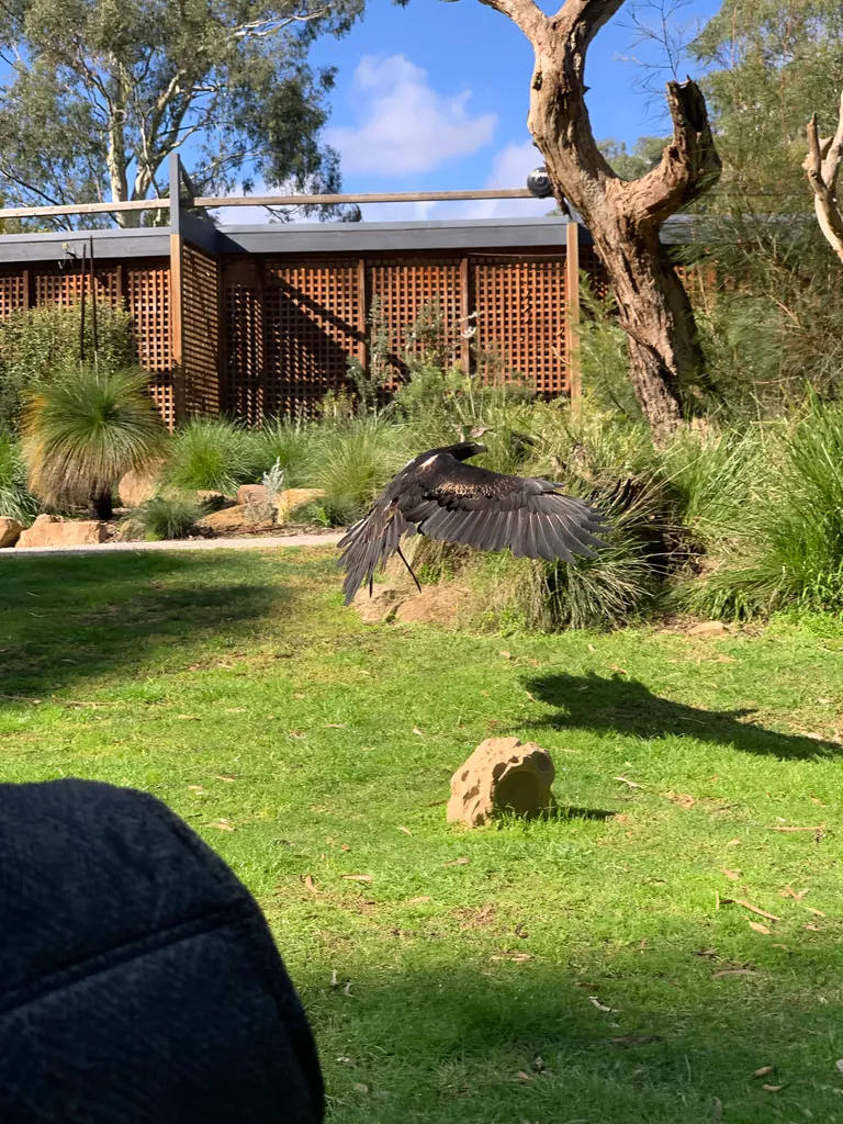Healesville