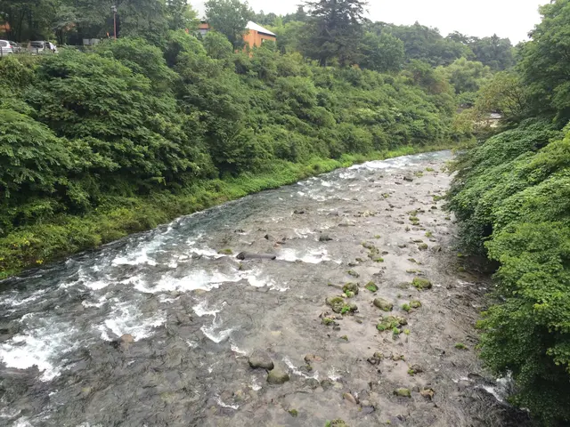 stream in Nikko