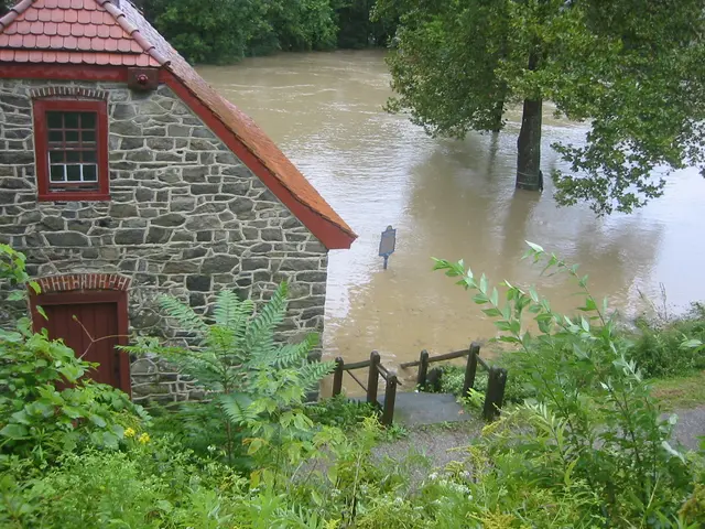 the flood, 2004, img_1827
