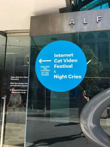 internet cat video exhibit