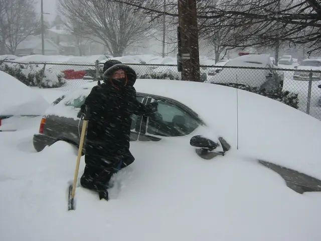 snowstorm, 2003-02, Gloria and Car