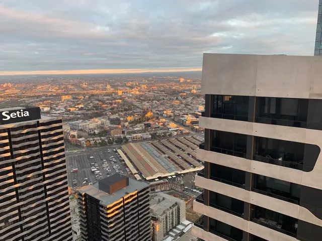 the view