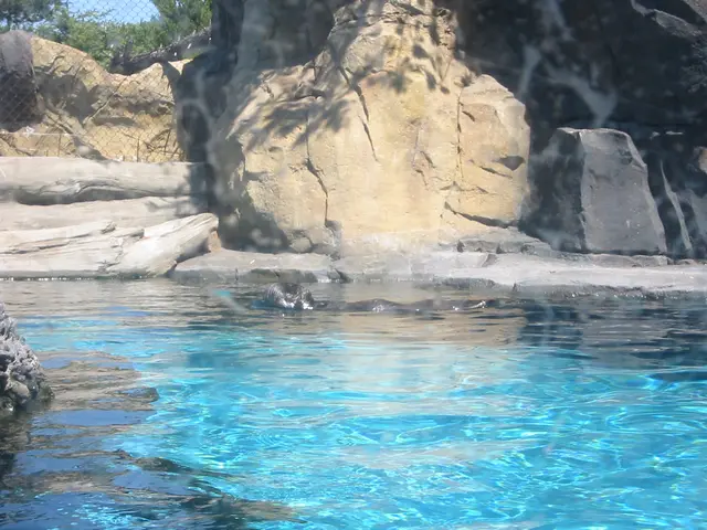 oscon 2003, otter-1