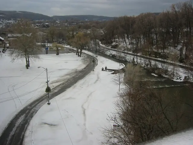 snowstorm, 2003-12, img_1011