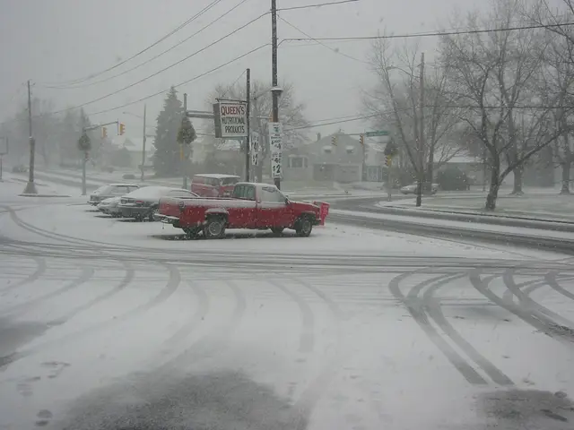 snowstorm, 2003-12, img_0986