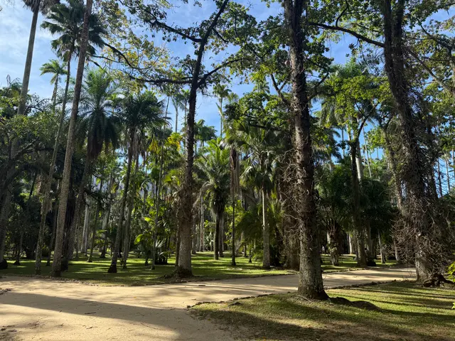 the Botanical Garden in Rio