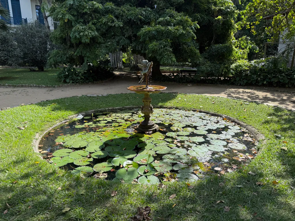the Botanical Garden in Rio