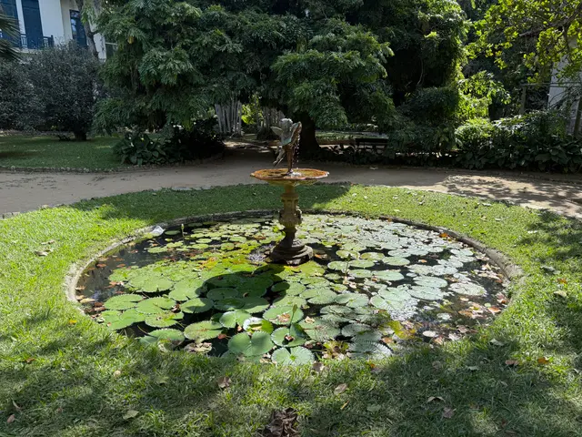 the Botanical Garden in Rio