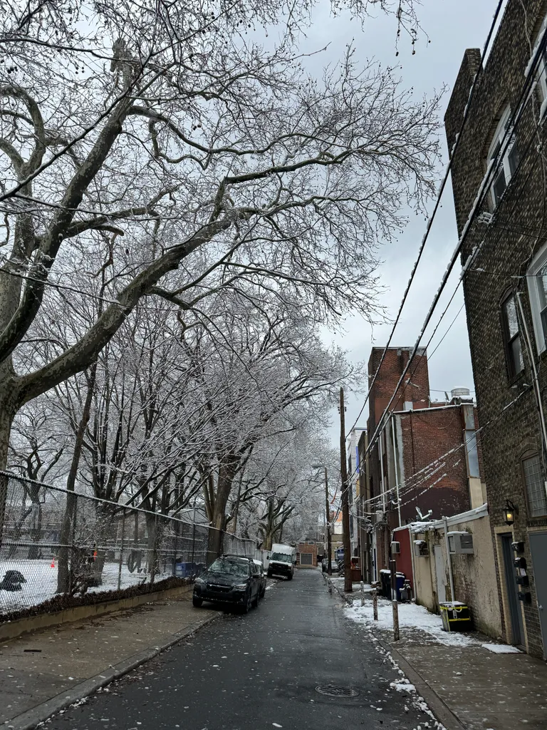 snowy Philly, Rodman Street