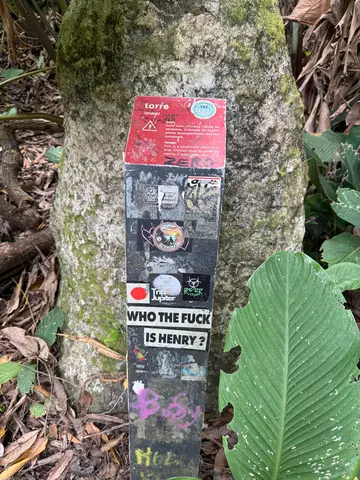 Parque Lage