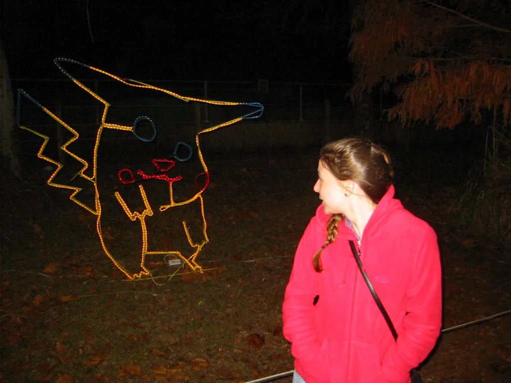 christmas, 2003, img_1075