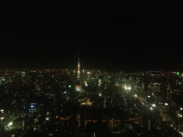 night in Tokyo