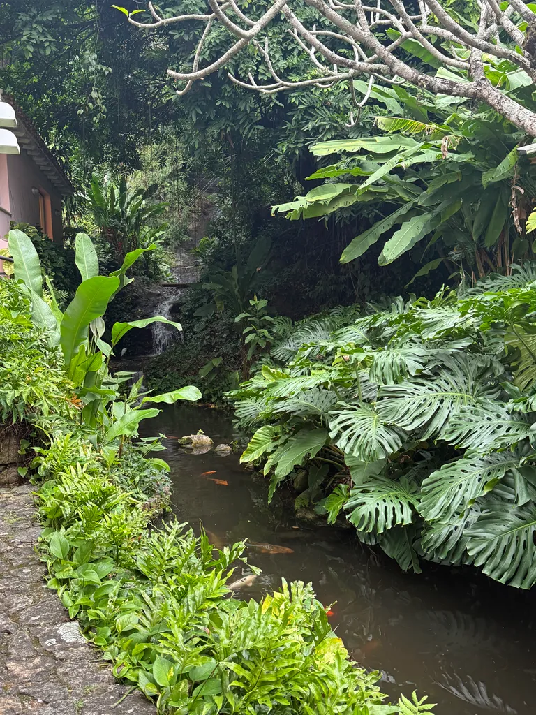 gallery near Corcovado