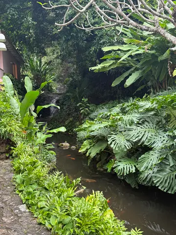 gallery near Corcovado